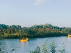 -太阳岛度假酒店