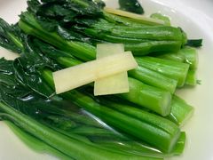 -旺金鸽·传承15年老字号·手工早茶(荔湾坦尾桥中店)