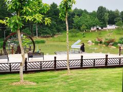 -铁山坪森林公园