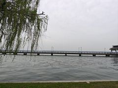 -苏州阳澄湖澜廷酒店-有景阁中餐厅