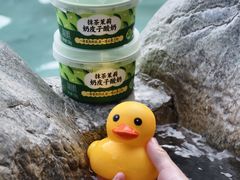 -湖泉半山温泉(湖泉生态园)