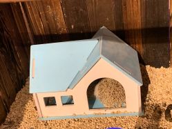 -酷嗒动物文化乐园(cutezoo西溪乐天城店)