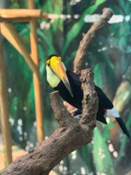 -Zoolung Zoolung动物主题公园(海信广场店)