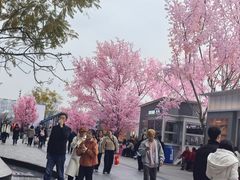 -首开·龙湖成都西宸天街