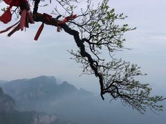 -福建天门山