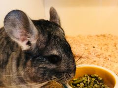 -龙猫仔乐园(惠福东路店)