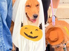 -华谊兄弟（长沙）电影小镇