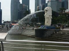 android_upload_pic-鱼尾狮公园
