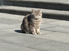 -哈尔滨极乐寺