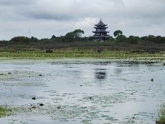 -上海海湾国家森林公园