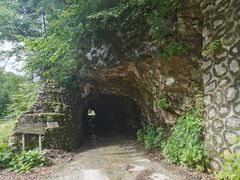 -青峰峡国家森林公园