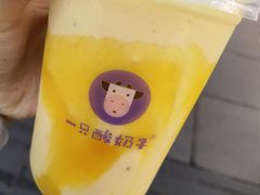 -一只酸奶牛(八一路店)