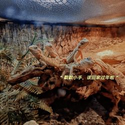 -酷嗒动物文化乐园(cutezoo西溪乐天城店)