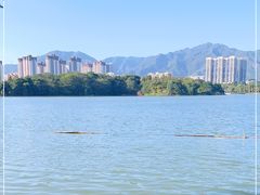 -飞来湖湿地公园