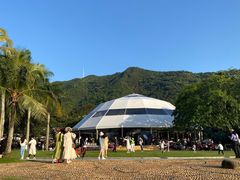 -深圳仙湖植物园