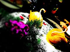 -梧桐餐厅(泉城路店)