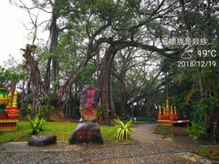 -瑞丽独树成林风景区