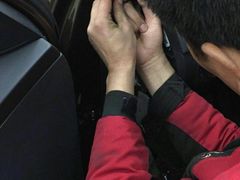 -利美特•威固V-KOOL双膜(杨浦授权店)