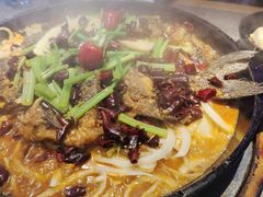 -老板恋上鱼(恒隆广场店)