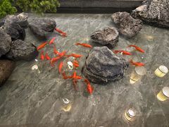 -鼓楼东街老火锅(鼓楼店)