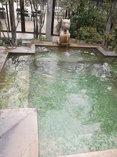 -张家港金凤凰度假村温泉