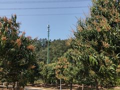 -中国移动南方基地