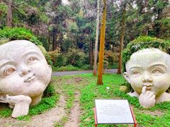 -东平国家森林公园