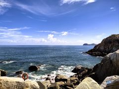 -广东惠东海龟国家级自然保护区