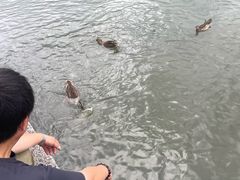 -杭州湖滨in77