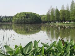-艾溪湖湿地公园