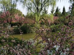 -宝鸡植物园