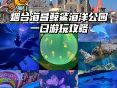 -烟台海昌鲸鲨海洋公园