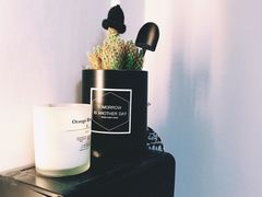 -NokNok Coffee(宽窄巷子店)