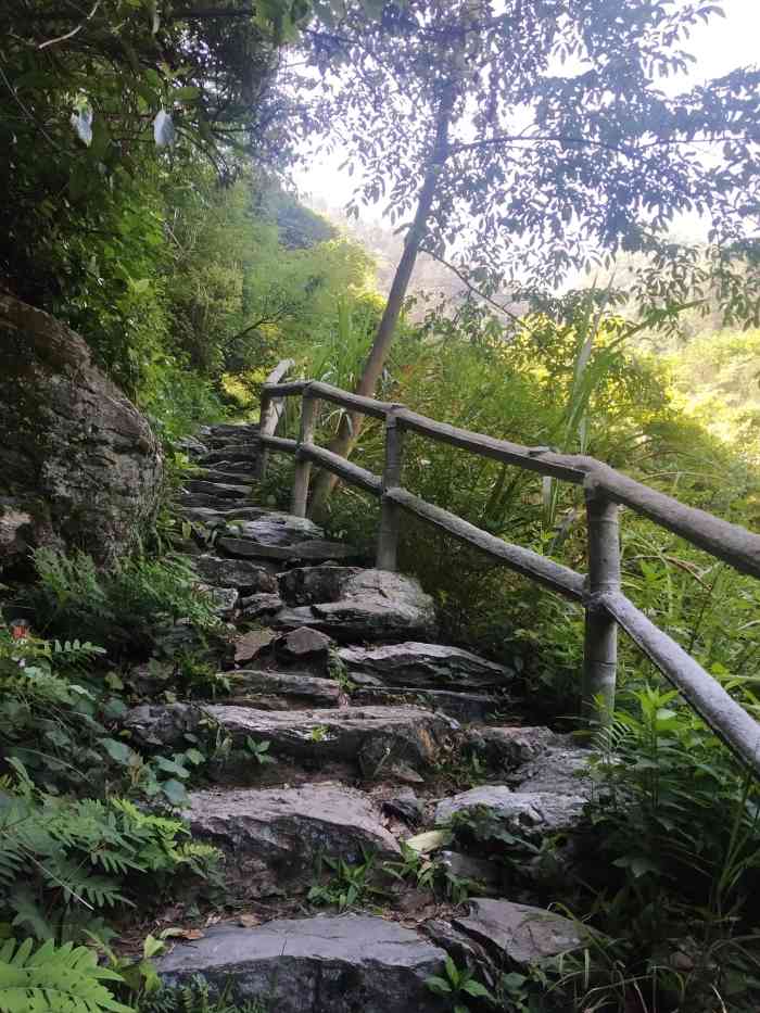 庐山莲花洞文旅小镇(莲花洞)-"这个莲花洞森林公园很多人自驾前来游玩