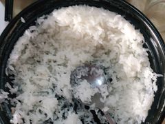 -煲来饱去冷水鱼