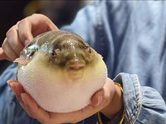 -永安鱼庄·镇江菜(东吴路店)