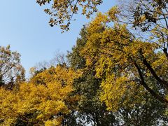 -长广溪湿地公园