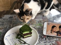 -Cappucimeow猫咪咖啡馆(韦伯时代店)