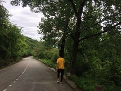 -窦圌山风景区