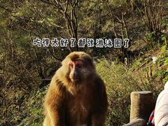 -峨眉山风景名胜区