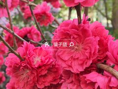 -海淀公园