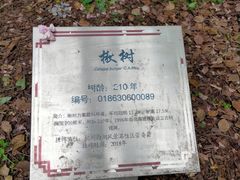 -北山街历史文化街区