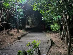-小南山公园