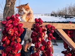-葫芦古镇关东民俗雪乡