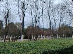 -天鹅湖体育公园