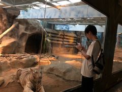 -清迈夜间动物园