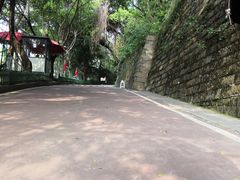 -金鸡山公园