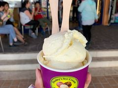 Milk-Dooley's Premium Ice Cream