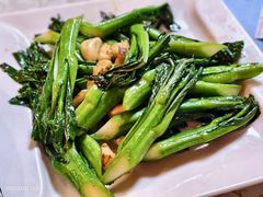 生炒菜心-禄源公·老莞诚饭店