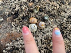 -BANDI반디班迪美甲美睫